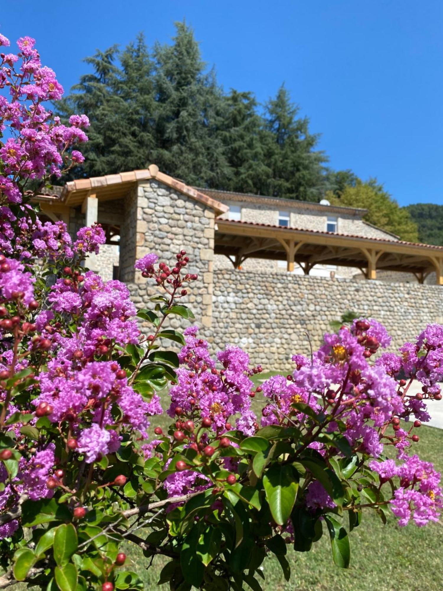 Bed and Breakfast Domaine Les Buis Saint-Fortunat-sur-Eyrieux Екстер'єр фото